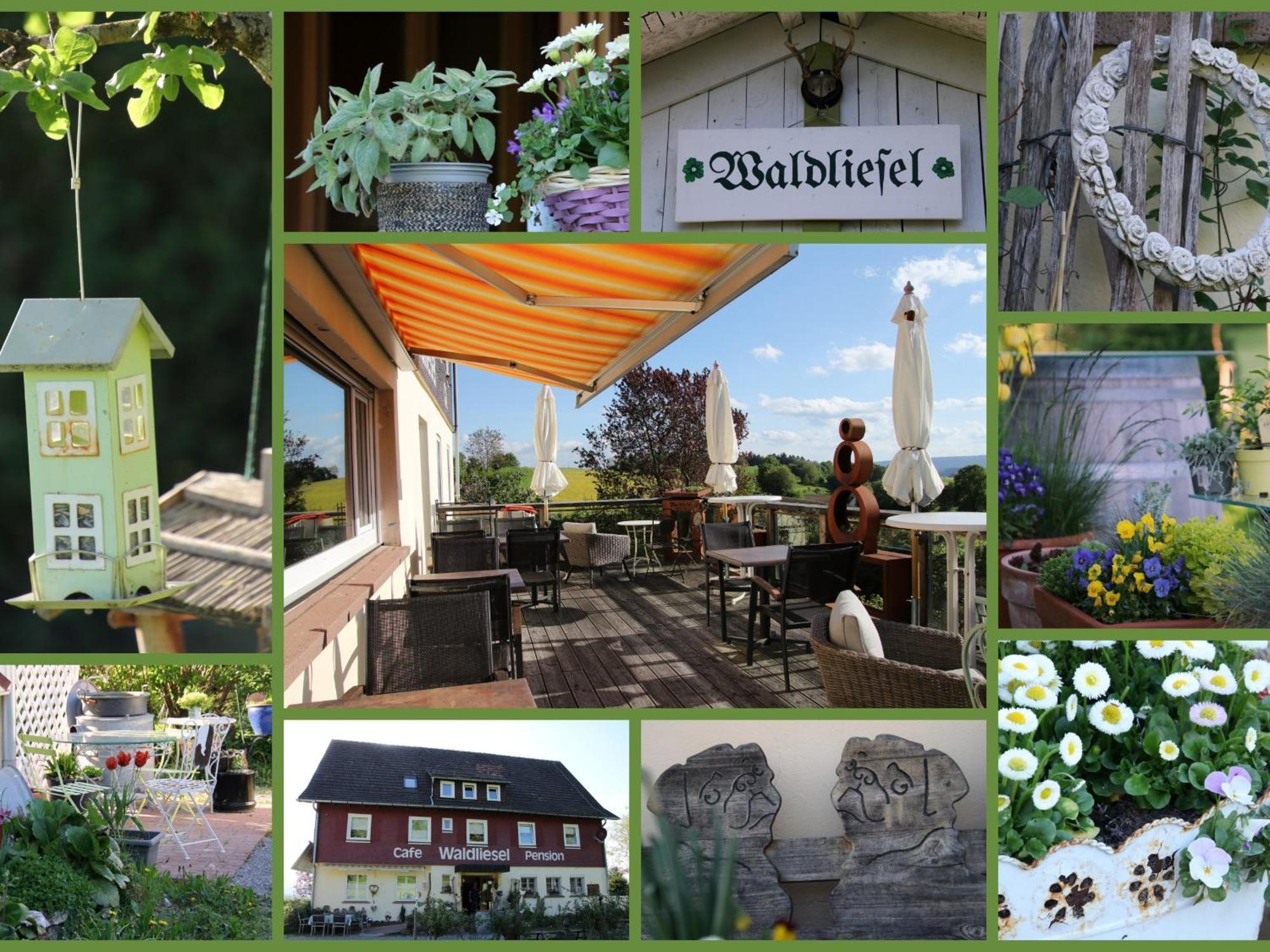 Pension Waldliesel Dornstetten Esterno foto